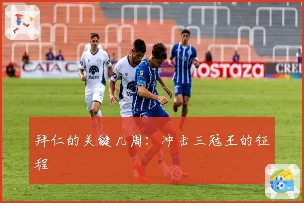 拜仁的关键几周:冲击三冠王的征程