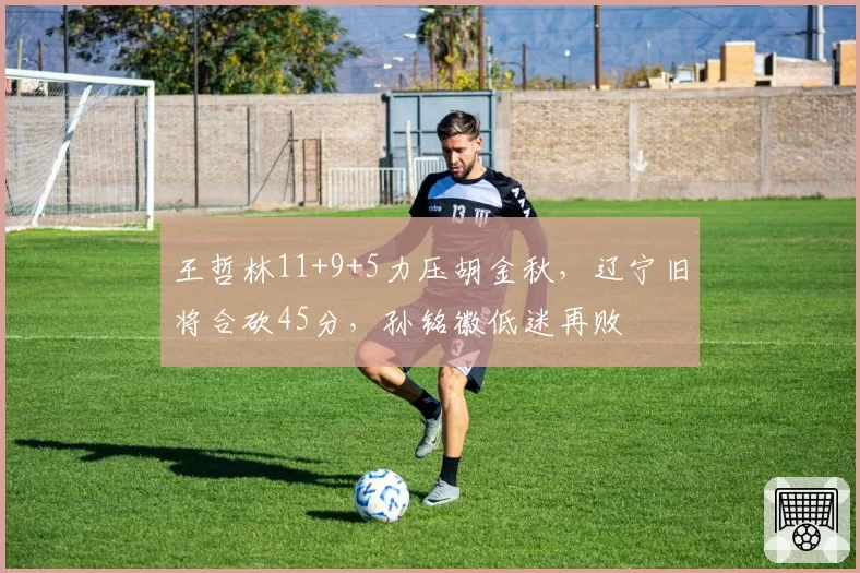 王哲林11+9+5力压胡金秋，辽宁旧将合砍45分，孙铭徽低迷再败
