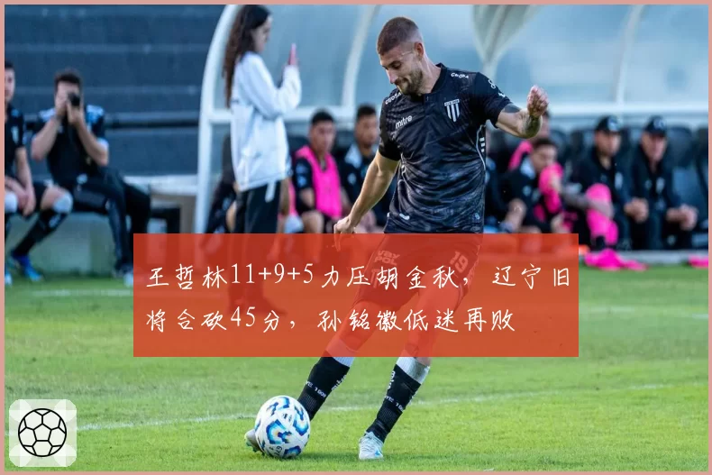 王哲林11+9+5力压胡金秋，辽宁旧将合砍45分，孙铭徽低迷再败