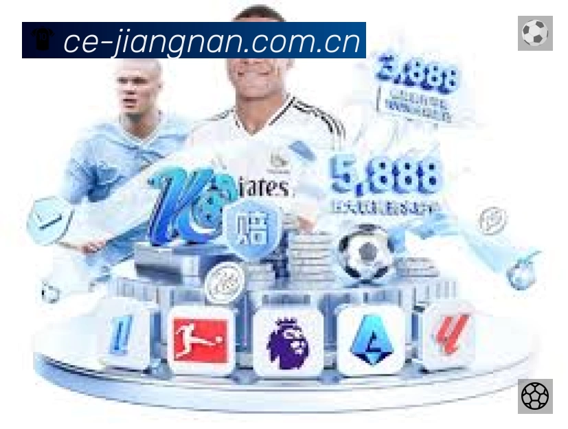 江南体育赛事入口体系与导航结构